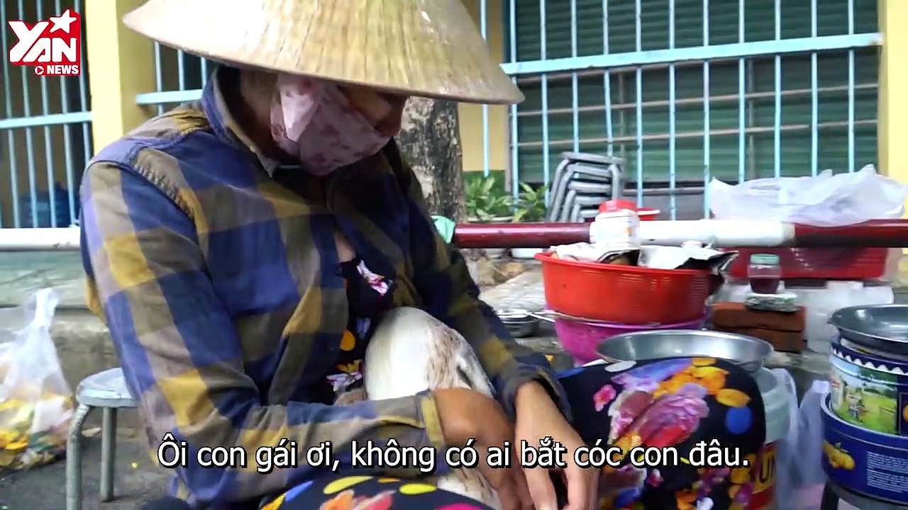 Kì lạ nàng vịt hiểu tiếng người: "Thích ăn chay, uống nước đá, sợ bị bắt cóc".