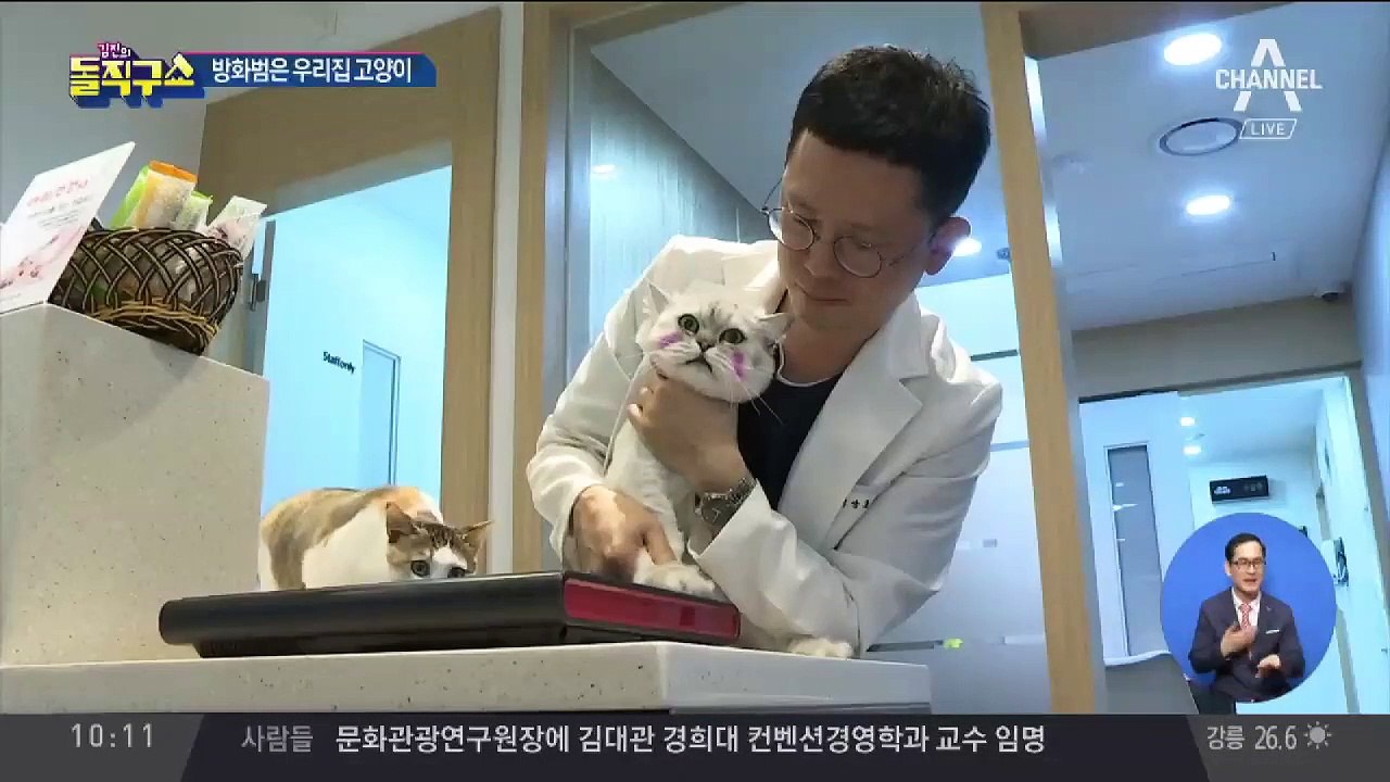 빈집 화재, 방화범 정체는?…우리집 고양이