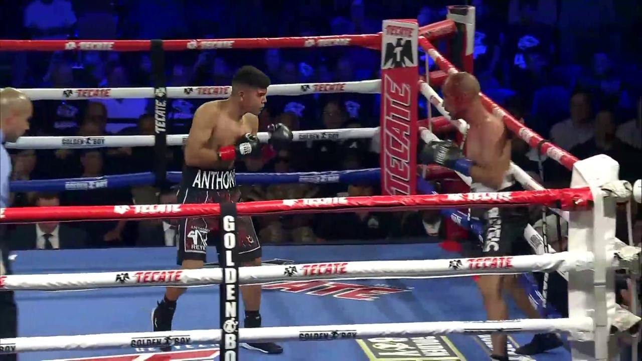 Reyes Knockout