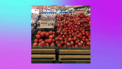 People Who Had One Job And Failed Miserably