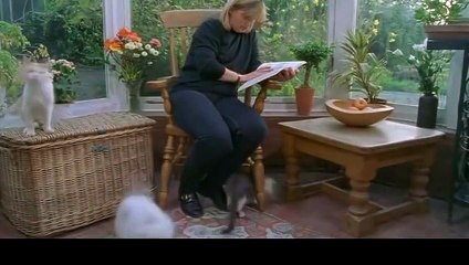 의왕출장아로마≑의왕출장안마 -후불100%ョØ1ØE6706E9275｛카톡ZU69｝ 의왕전지역출장안마 의왕오피걸 의왕출장마사지 의왕안마 의왕출장마사지 의왕콜걸샵りるれ