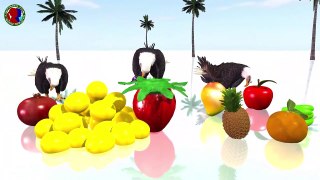 Learn Colors Fruits Names For Childrens ## || apple banana lemon mango grapes orange coconut cherry