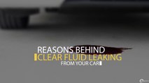 Reasons Behind Clear Fluid Leaking From Your Car