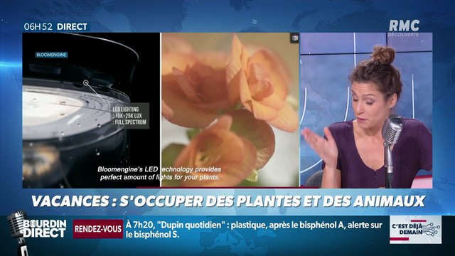 La chronique de Nina Godart : Quand la tech prend soin de nos plantes et nos animaux pendant les vacances - 19/07