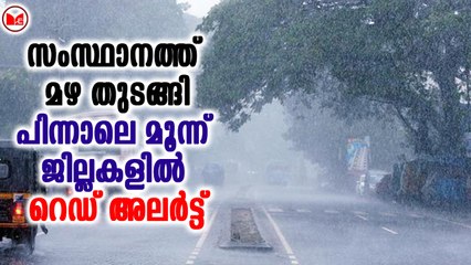 Download Video: സംസ്ഥാനത്ത് മഴ തുടങ്ങി...പിന്നാലെ മൂന്ന് ജില്ലകളിൽ റെഡ് അലർട്ട്