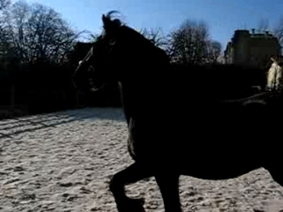 Reitse et son ballon 1