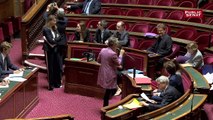 Loi Énergie et Climat : le Sénat adopte sa version du texte