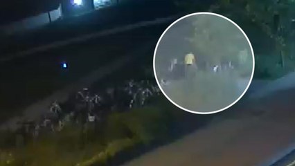 자전거 34대 훔친 외국인들..."모국에 수출하려고" / YTN