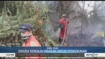 Kebakaran Hutan dan Lahan Riau Diduga Sengaja