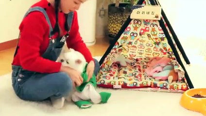 고창출장안마 -후불100%ョØ7ØS7301S9649｛카톡LA666｝ 고창전지역출장안마 고창오피걸 고창출장마사지 고창안마 고창출장마사지 고창콜걸샵сту