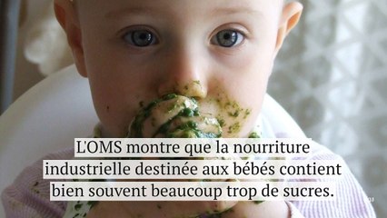 Avertissement de l'OMS : la nourriture pour bébé est beaucoup trop sucrée