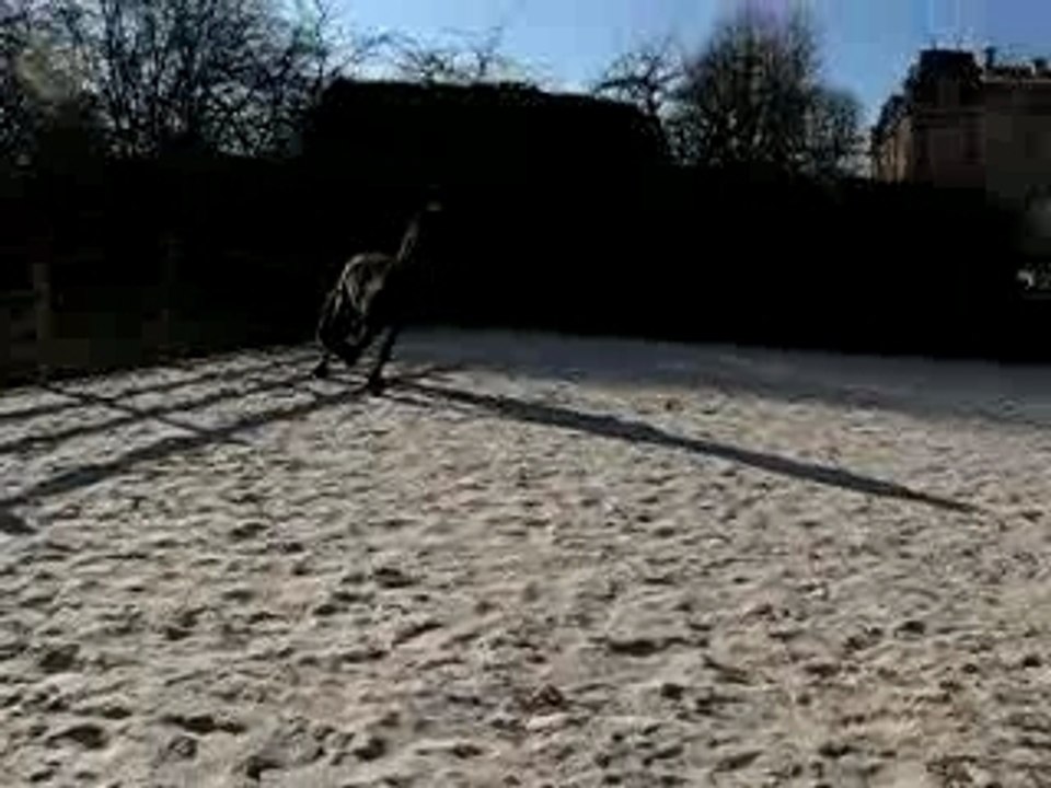 reitse et son ballon 2