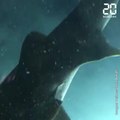 Des scientifiques tombent sur un requin préhistorique vivant lors d'une mission de recherche