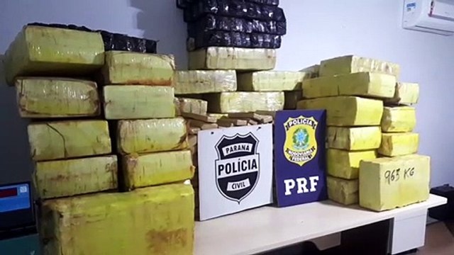Maconha apreendida pela Denarc e PRF totalizou quase uma tonelada