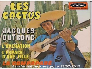 Jacques Dutronc_L'espace d'une fille (GV)(1967)