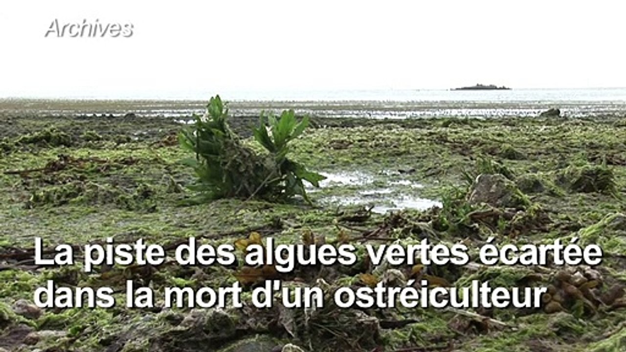 Algues vertes: les autorités du Finistère veulent rassurer