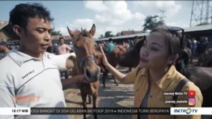 Journey to Sulawesi Selatan (2)