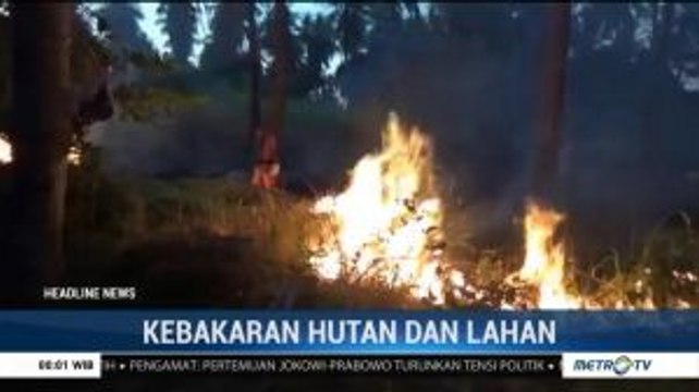Kebakaran Lahan di Flores Terjadi Hingga Malam