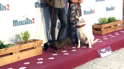 Ana Fernández confirma que de momento no habrá boda con Adrián Roma