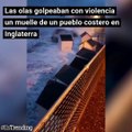 Esta mujer quiso desafiar a la naturaleza y por poco le sale muy caro...