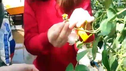 상무출장안마 -후불100%ョØ1ØA8109A5900｛카톡OYO78｝ 상무전지역출장안마 상무오피걸 상무출장마사지 상무안마 상무출장마사지 상무콜걸샵◑