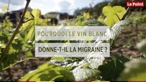 LES TUTOS VINS - Vins blancs : pourquoi donnent-ils la migraine ?