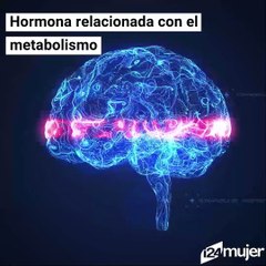 Un estudio de la Universidad de Pavia, Italia, encuentra que ‘el cotilleo’ libera hormonas que benefician la salud