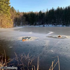 Sin importar el peligro, este hombre y su mascota Kira salvaron a dos perros en un lago congelado...