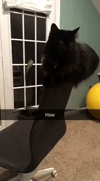 how