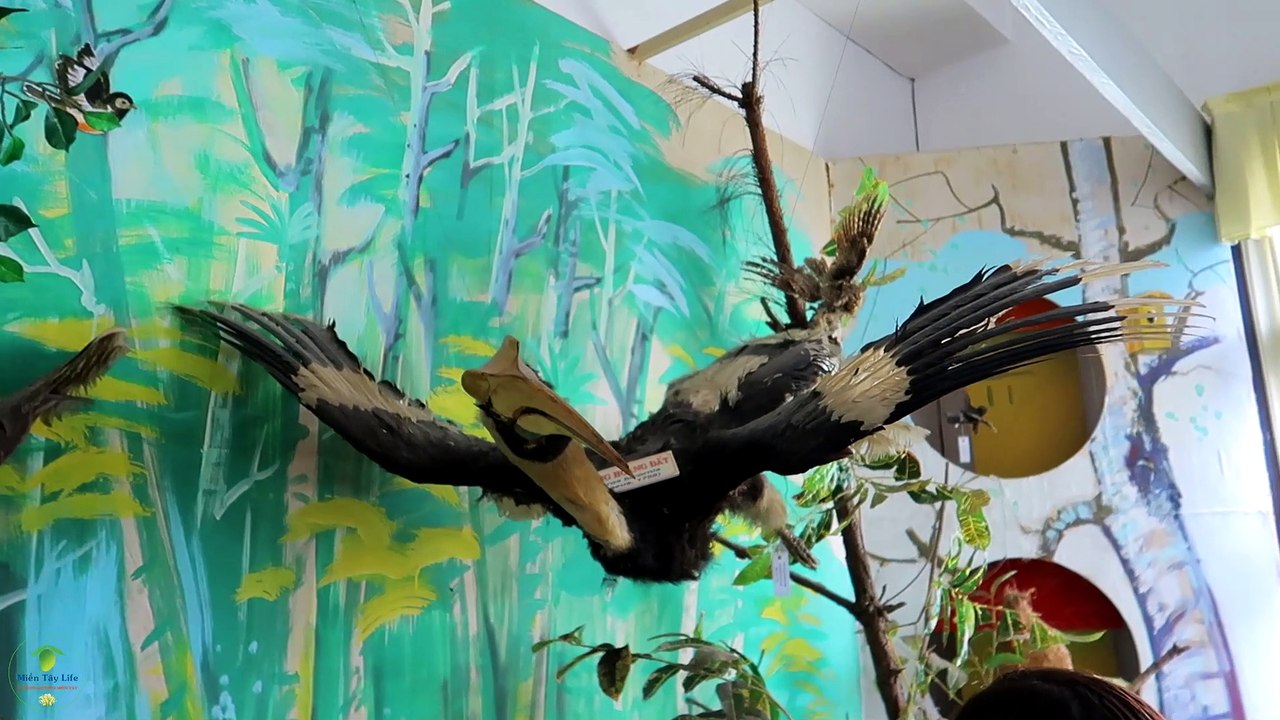 Vietnam Biology Museum in highlands Dalat - Bảo tàng viện sinh học tây nguyên