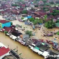 ¿Nos quedaremos sin hombres en la Tierra? El cambio climático podría acabar con el género masculino