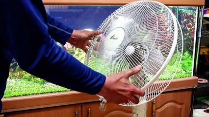 Electric fan guard bird trap