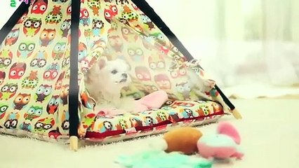 횡성출장아로마≑횡성출장안마 -후불100%ョØ7ØA7575A0069｛카톡CC6969｝ 횡성전지역출장안마 횡성오피걸 횡성출장마사지 횡성안마 횡성출장마사지 횡성콜걸샵パヒビ