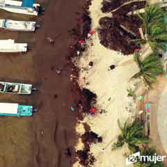 Emprendedores mexicanos convierten sargazo en zapatos reciclados