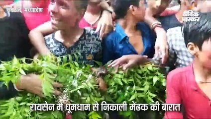 धूमधाम से निकाली मेंढक की बारात