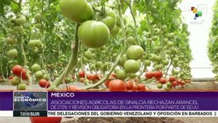 Continúa impasse entre productores de tomate mexicanos y EEUU