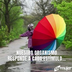 El estrés, la ira y el miedo también pueden dañar tus órganos