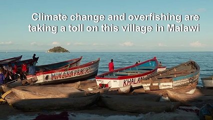 Empty nets as overfishing and climate change deplete Lake Malawi