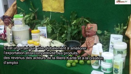 Filière karité au Burkina  Le PACFIK pour améliorer la compétitivité des produits