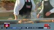 Harris Ranch shows us how to grill the perfect New York steak