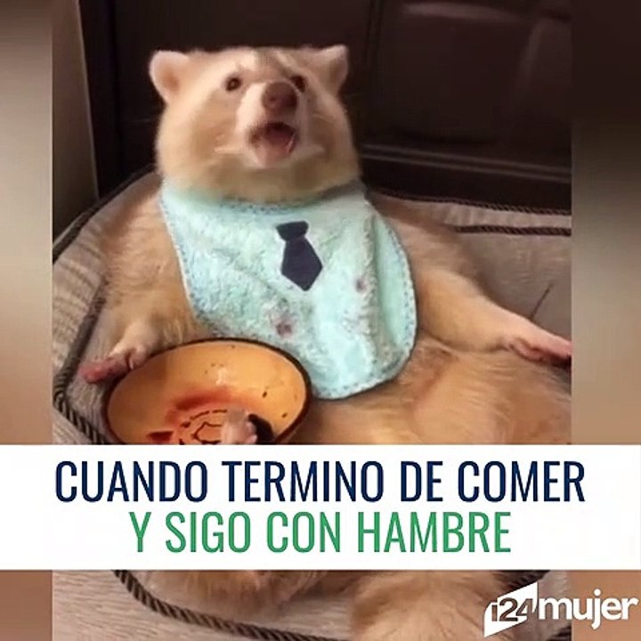 Cuando termino de comer y sigo con hambre