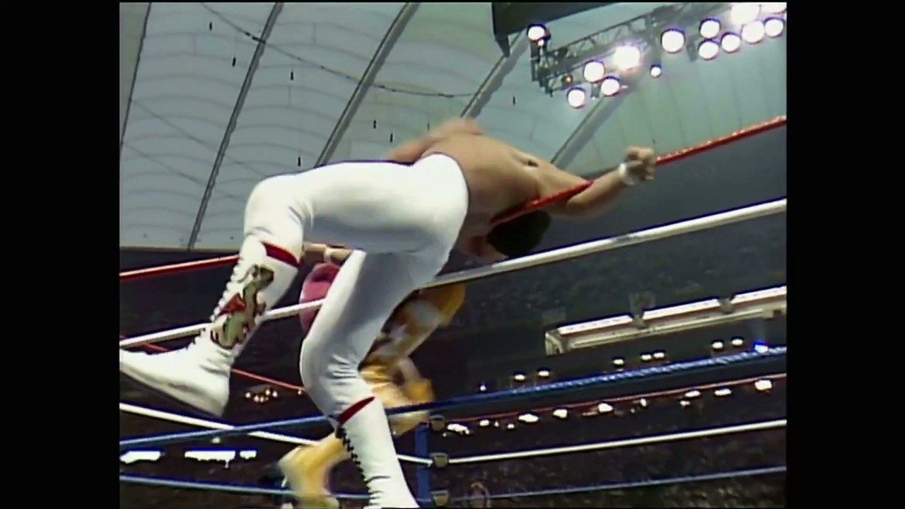Randy Savage vs. Ricky Steamboat