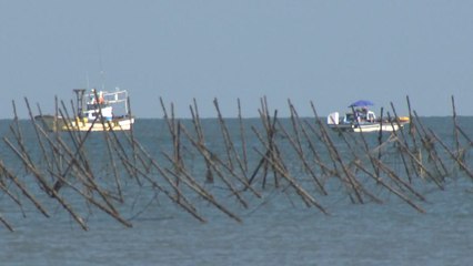 수산 당국 "양식장도 태풍 피해 철저히 대비" 당부 / YTN