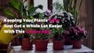Keeping Your Plants Alive Just Got a Whole Lot Easier With This Genius App