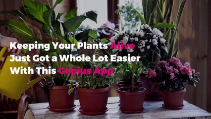 Keeping Your Plants Alive Just Got a Whole Lot Easier With This Genius App