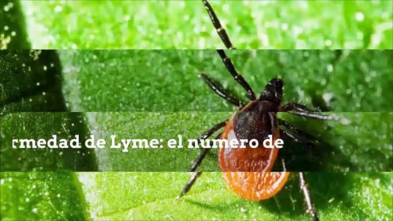 SCIENCES_ES_05072019_IN