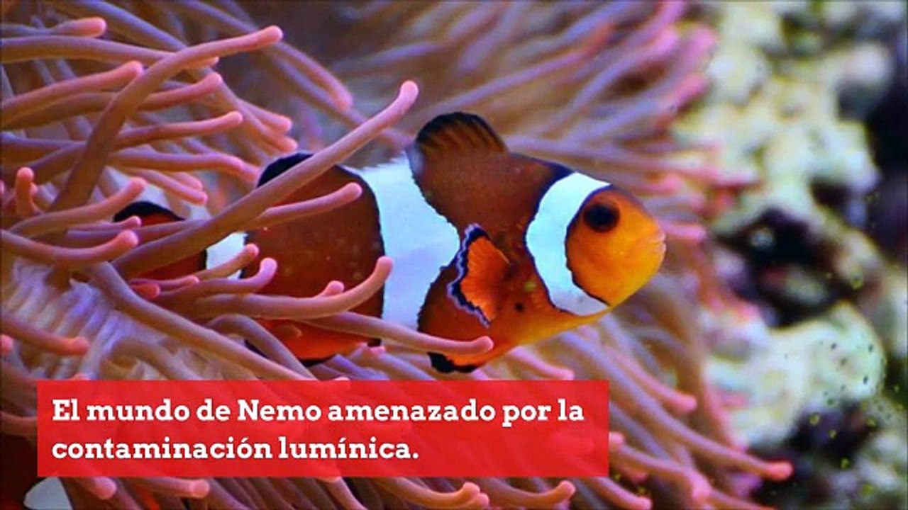 SCIENCES_ES_15072019_IN