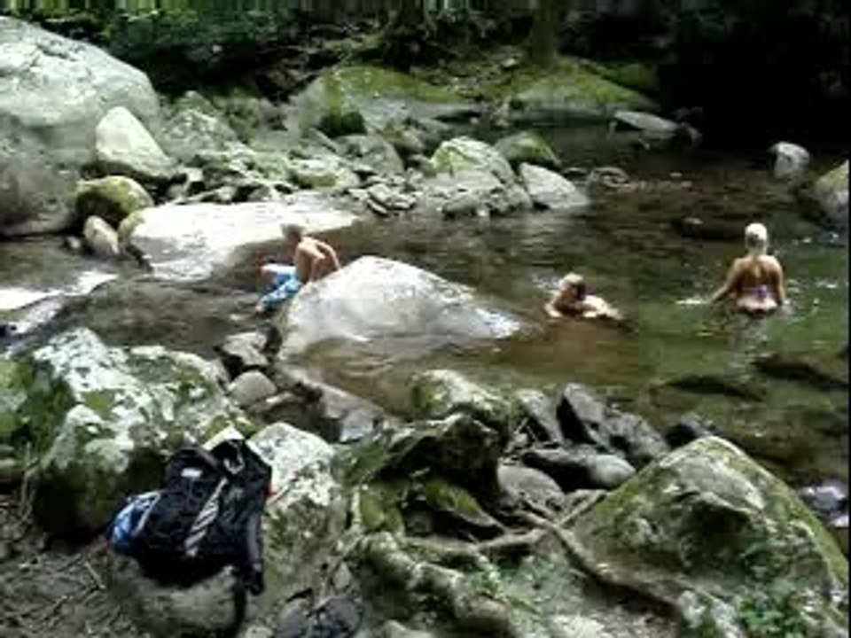 Smoky Mountain Trout Snorkeling in Pigeon Forge