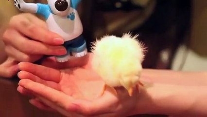 진안출장안마 -후불100%ョØ7ØA7575A0069｛카톡RD654｝ 진안전지역출장안마 진안오피걸 진안출장마사지 진안안마 진안출장마사지 진안콜걸샵ĦĲĿ