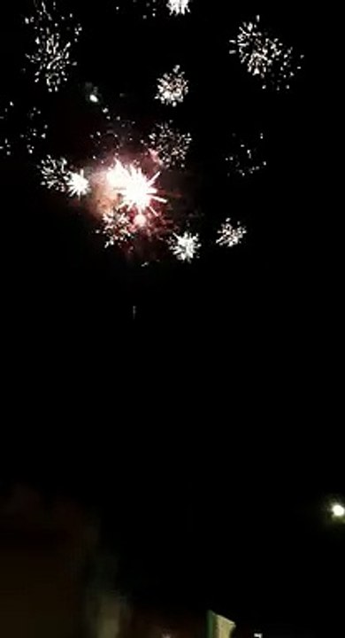 Feu d'artifice à Avignon pour la victoire de l'Algérie